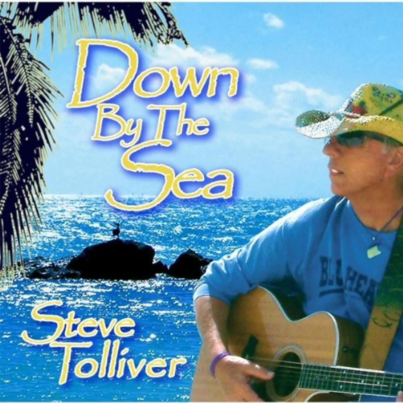 Steve Tolliver DOWN BY THE SEA CD