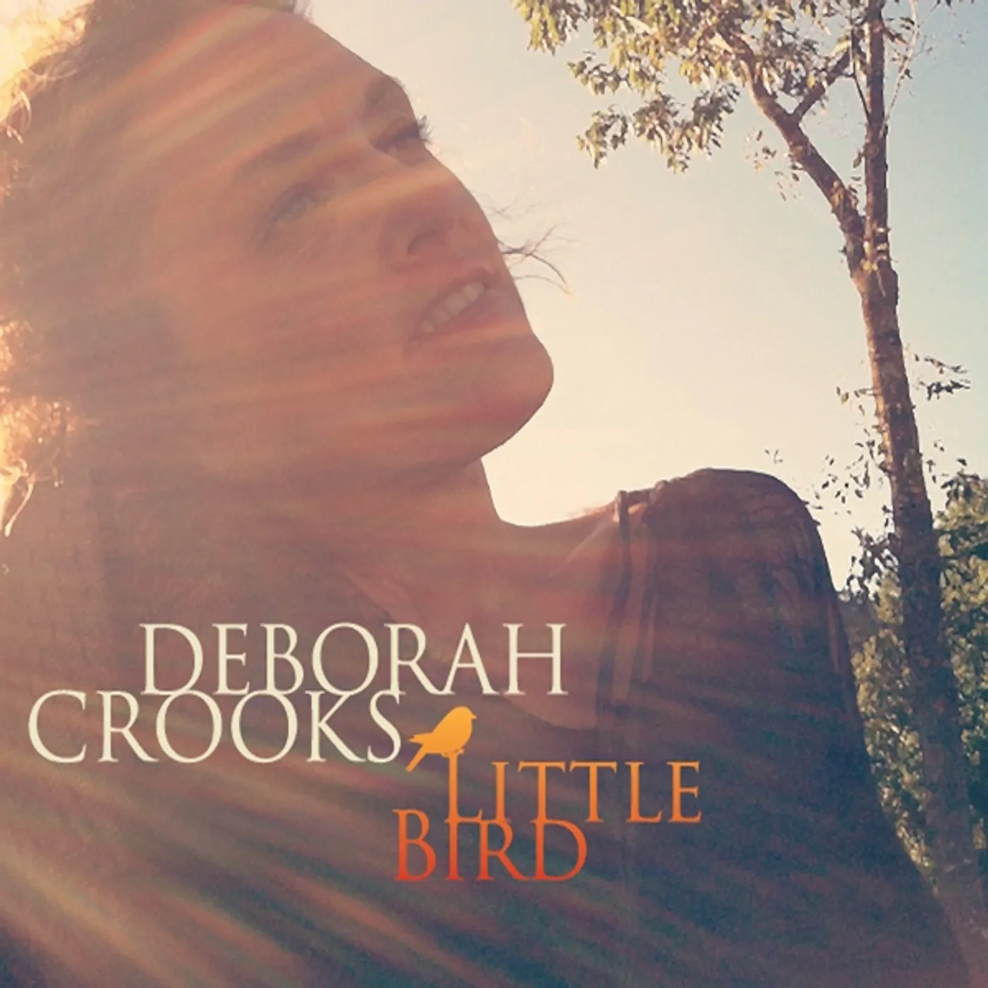 Deborah Crooks LITTLE BIRD CD
