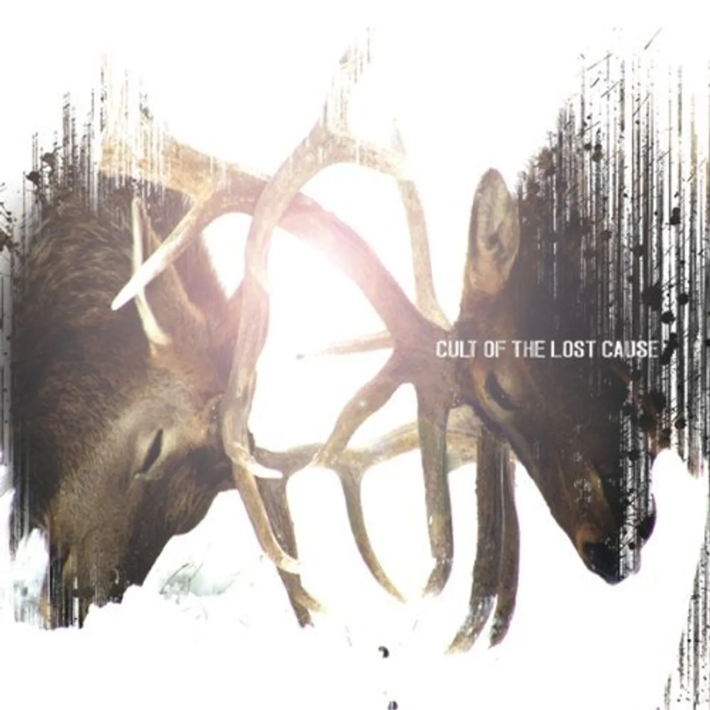 CULT OF THE LOST CAUSE CD