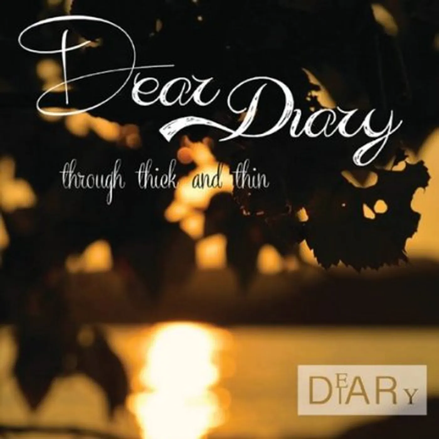 Dear Diary THROUGH THICK & THIN CD
