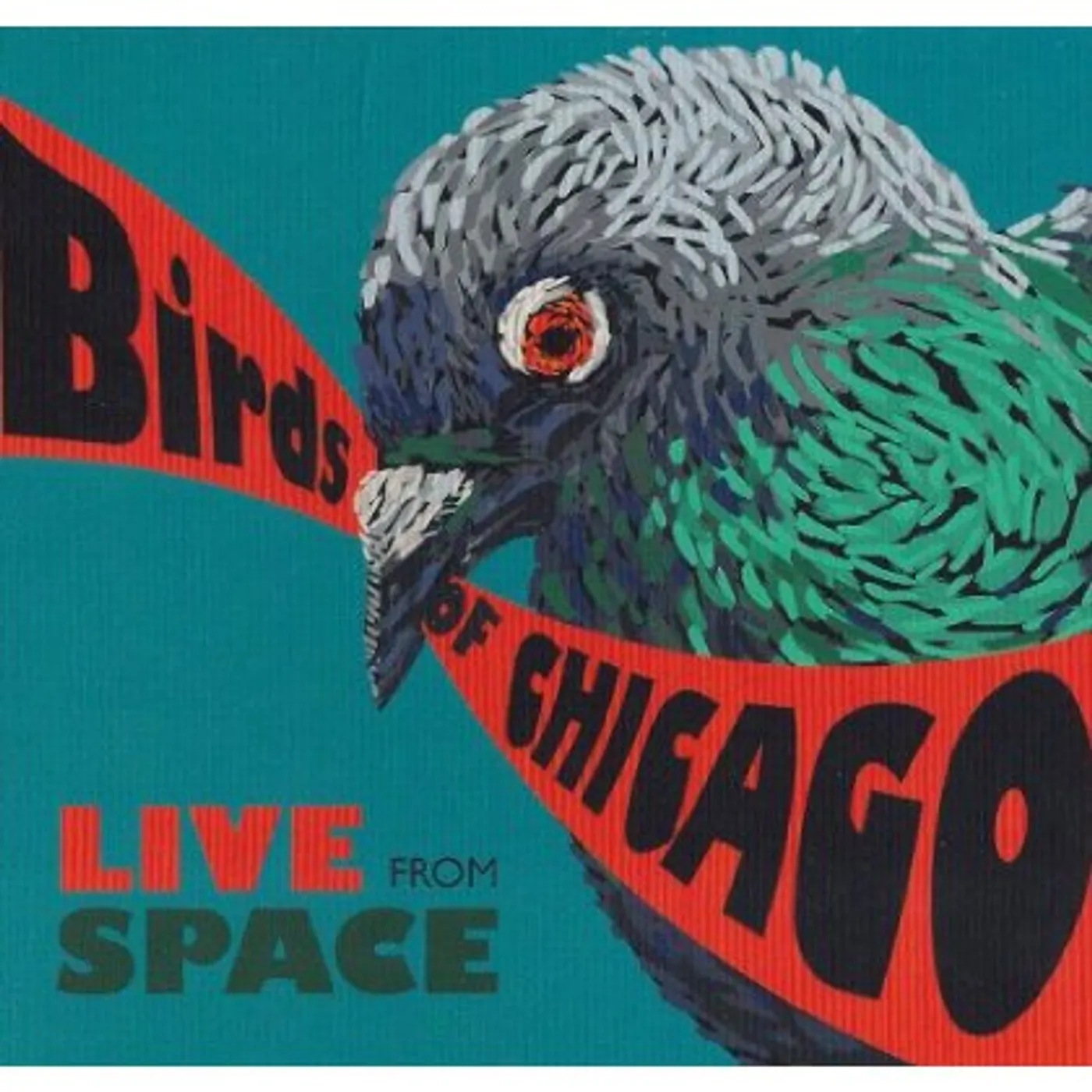 Birds of Chicago LIVE FROM SPACE CD
