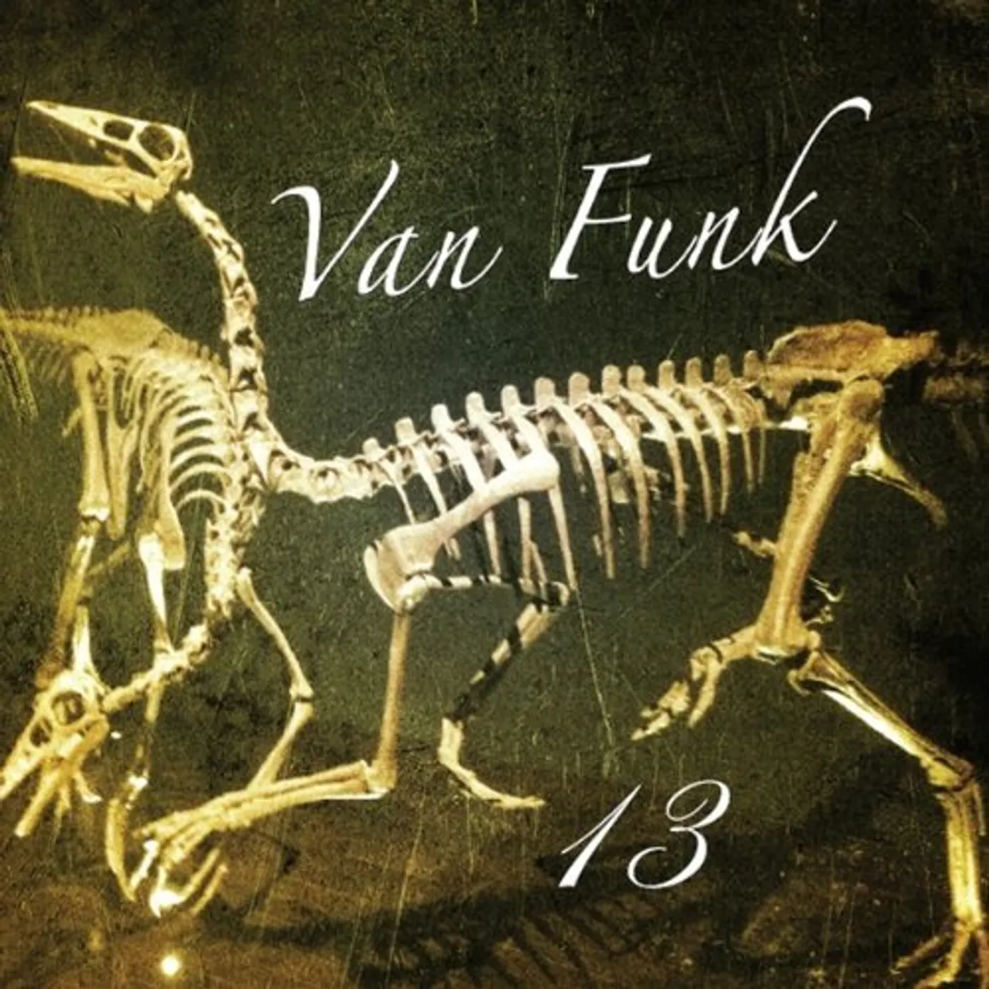 Van Funk 13 CD