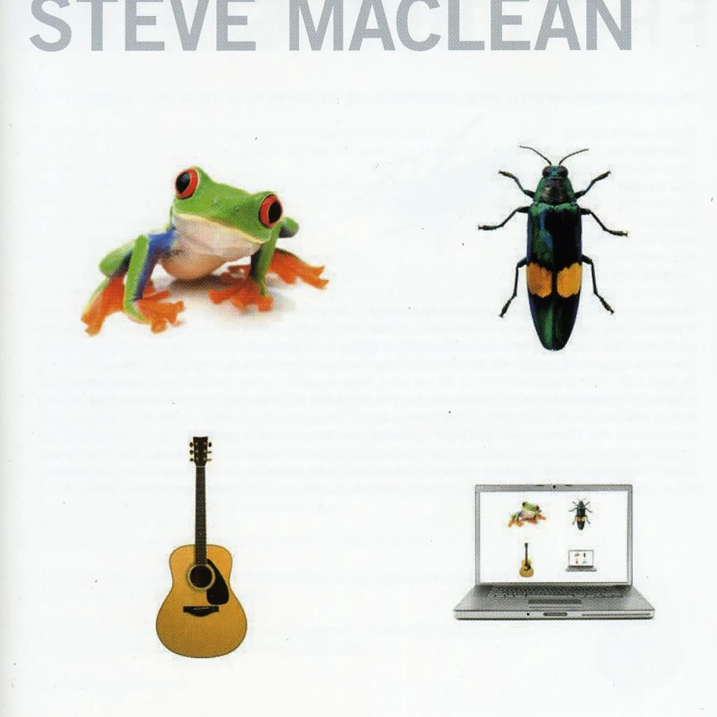 Steve MacLean FROG BUG GUITAR COMPUTER CD