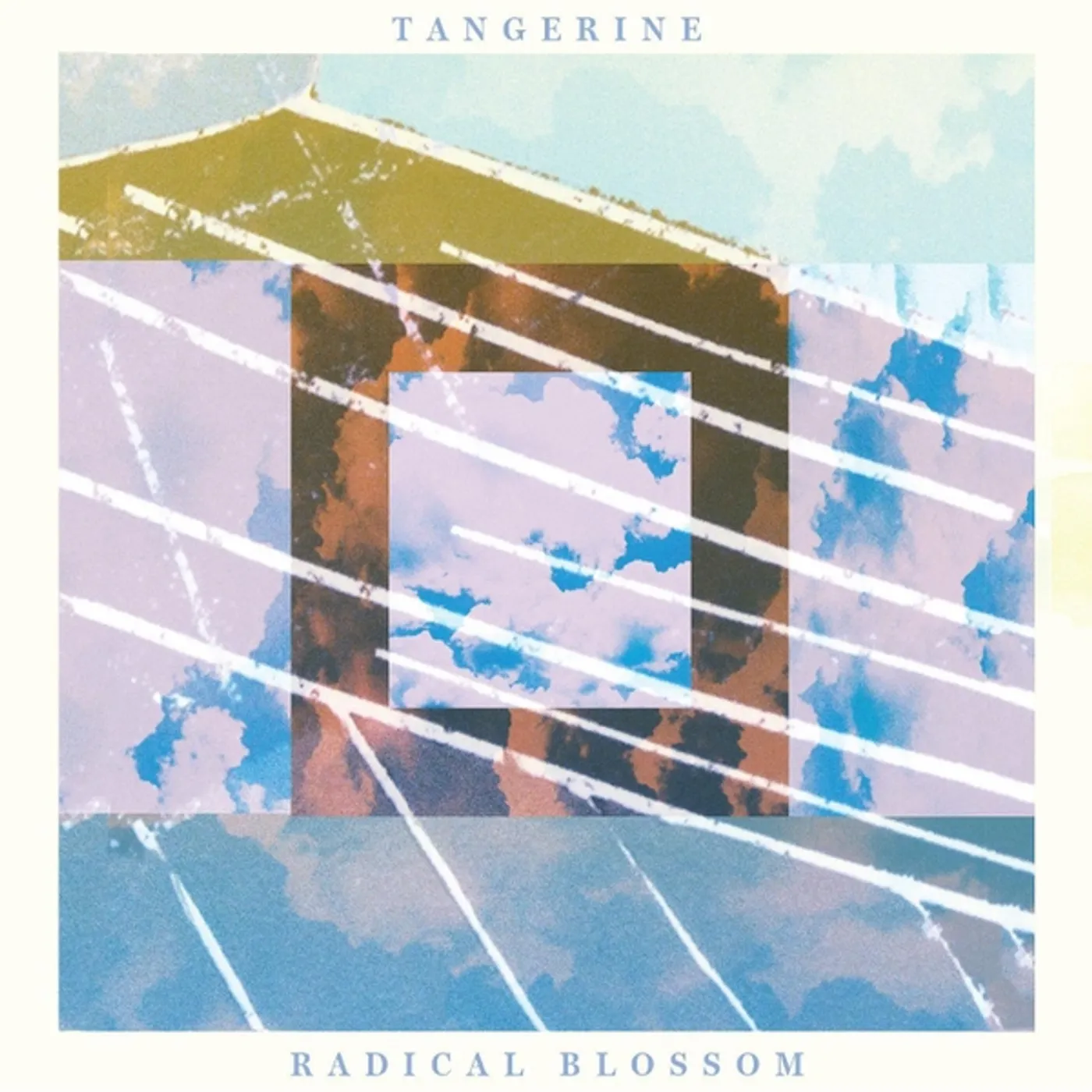 Tangerine RADICAL BLOSSOM CD