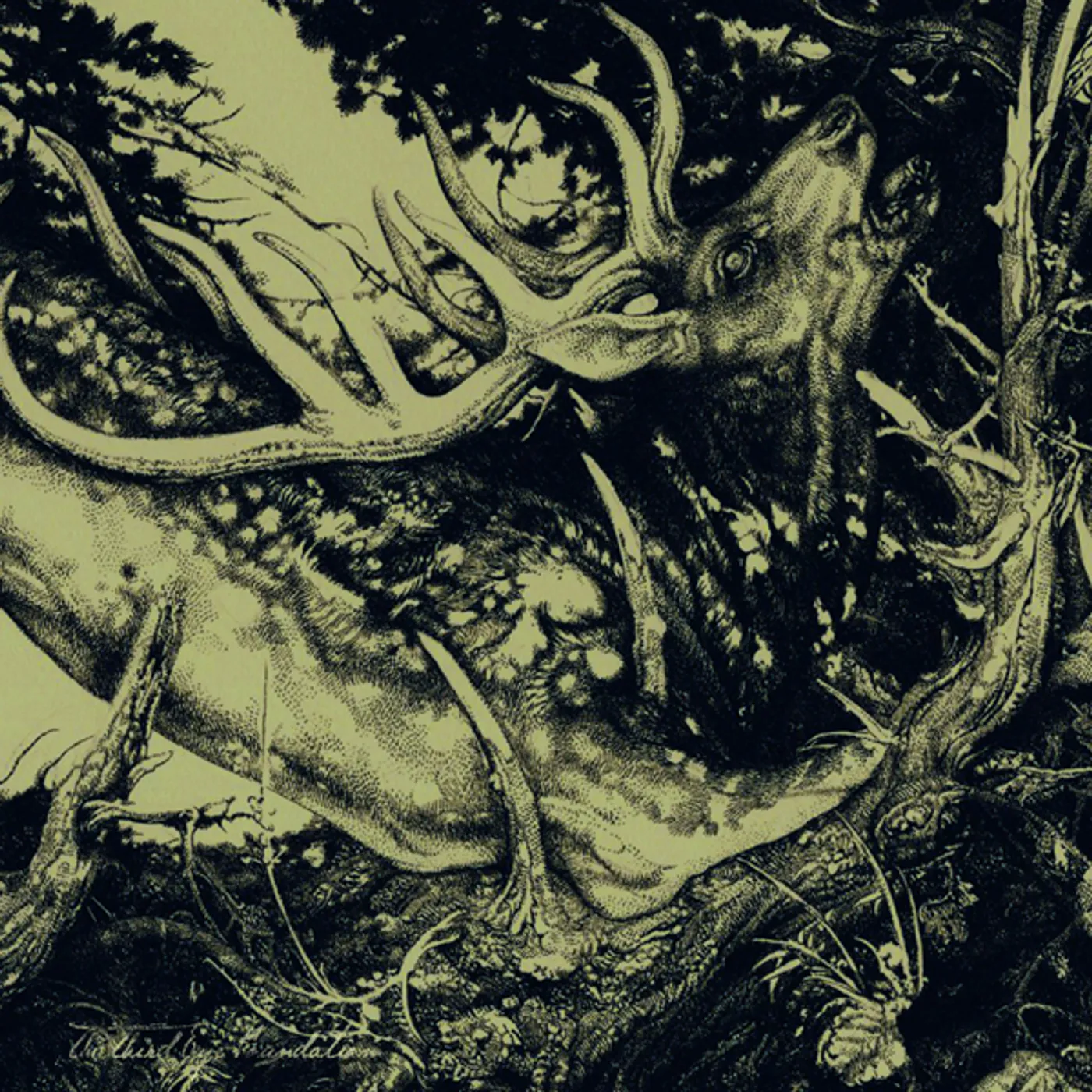 Third Eye Foundation DARK CD