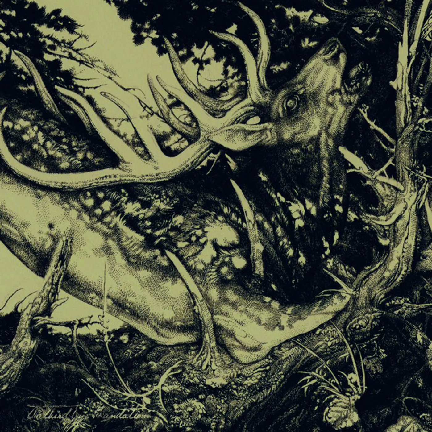 Third Eye Foundation DARK Vinyl Record