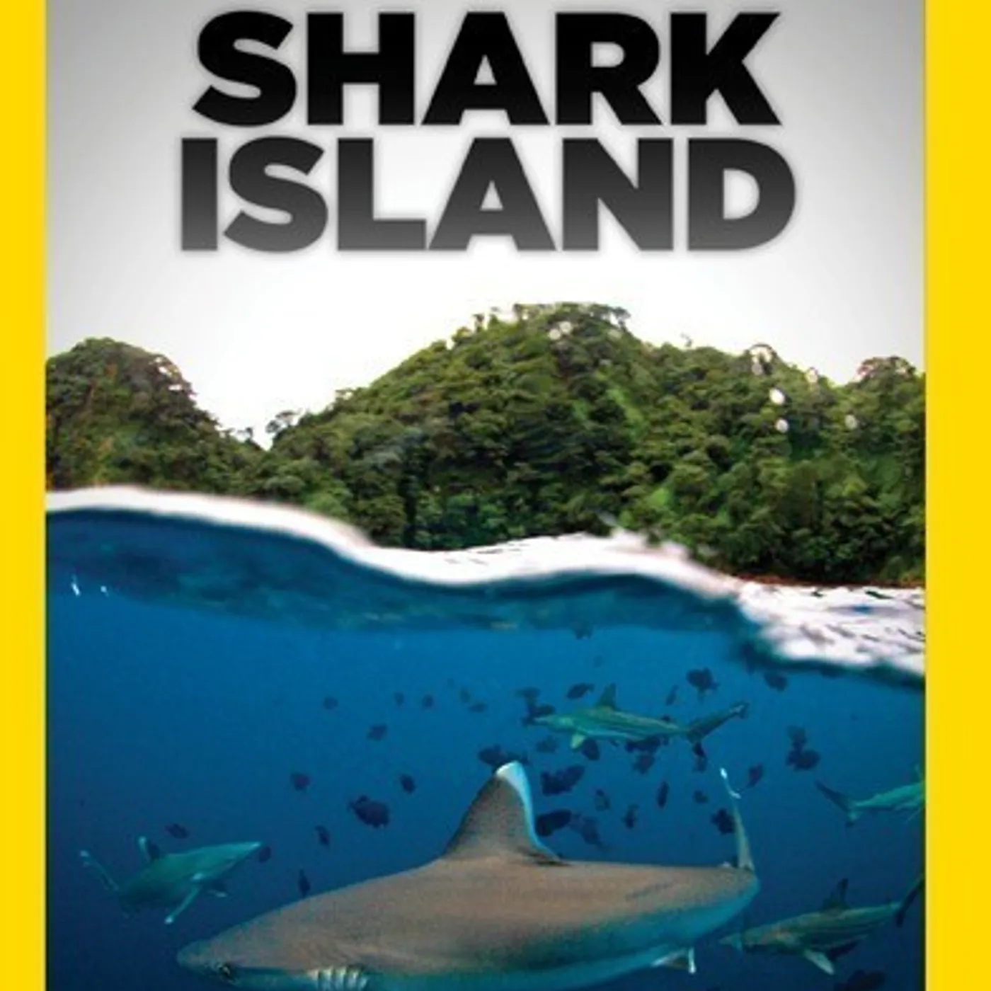 SHARK ISLAND DVD