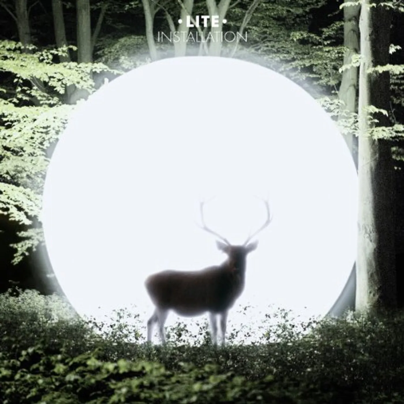 LITE Installation Vinyl Record