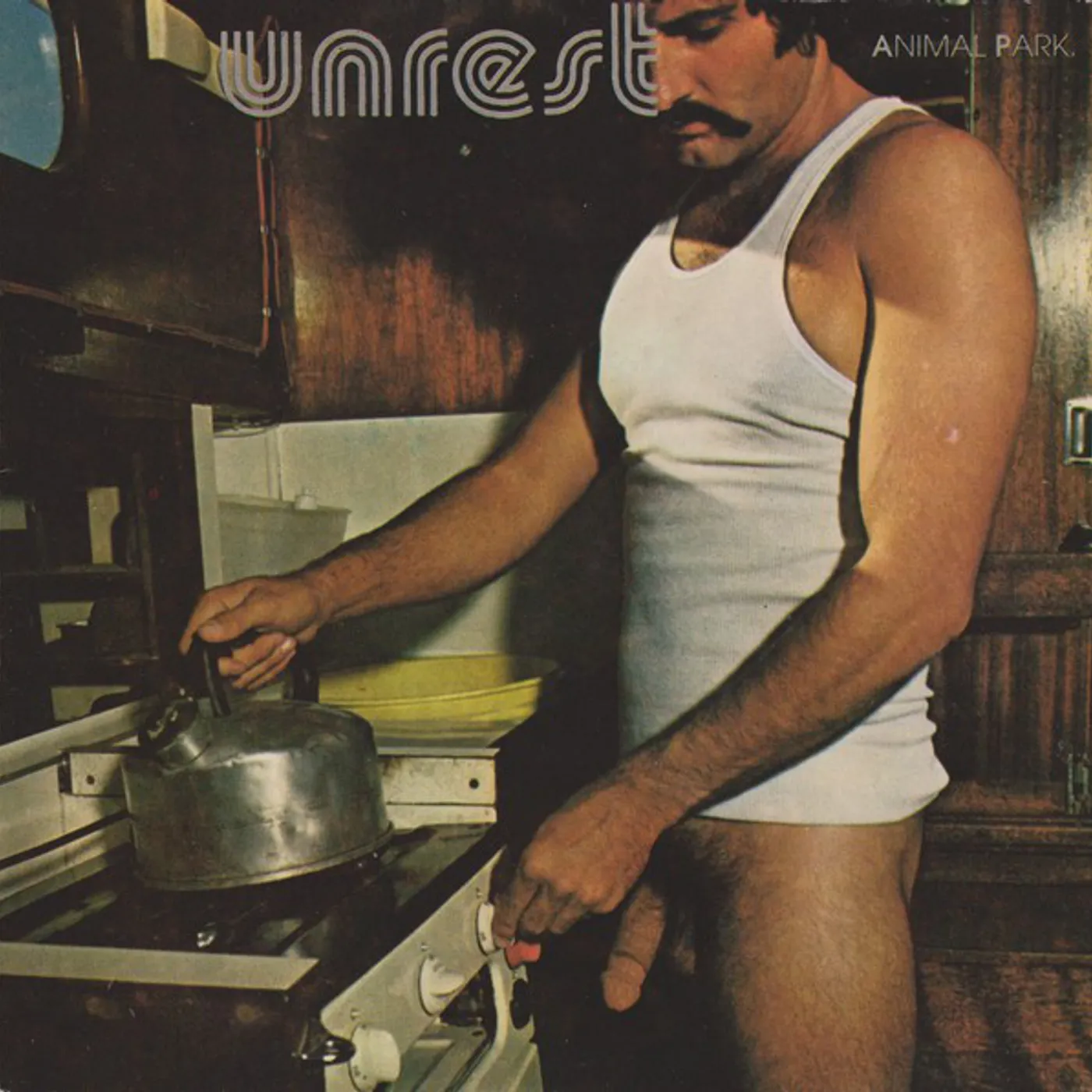 Unrest ANIMAL PARK Vinyl Record