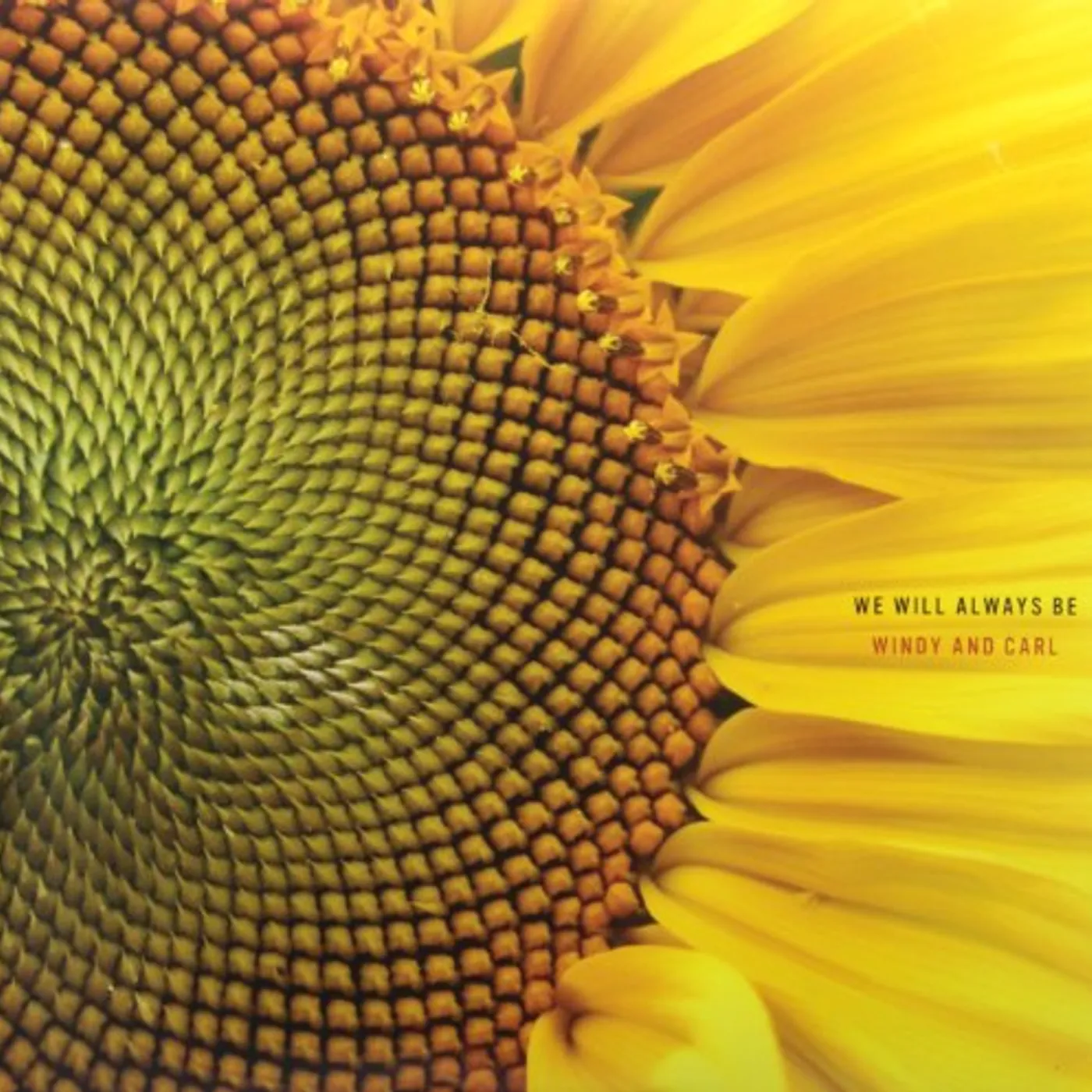 Windy & Carl We Will Always Be Vinyl Record