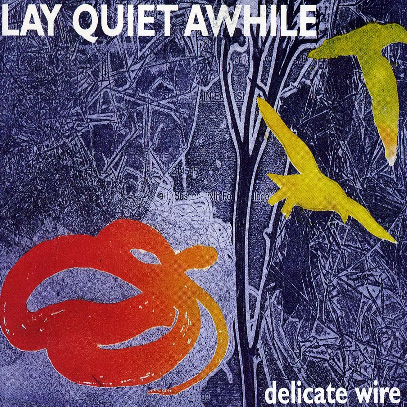 Lay Quiet Awhile DELICATE WIRE CD