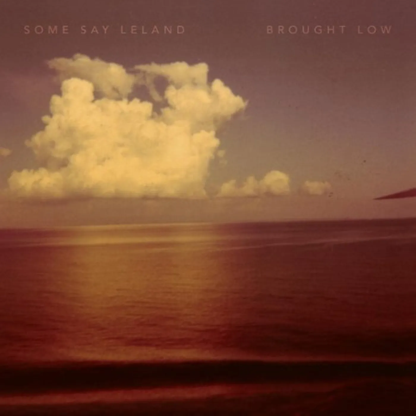 Some Say Leland BROUGHT LOW CD