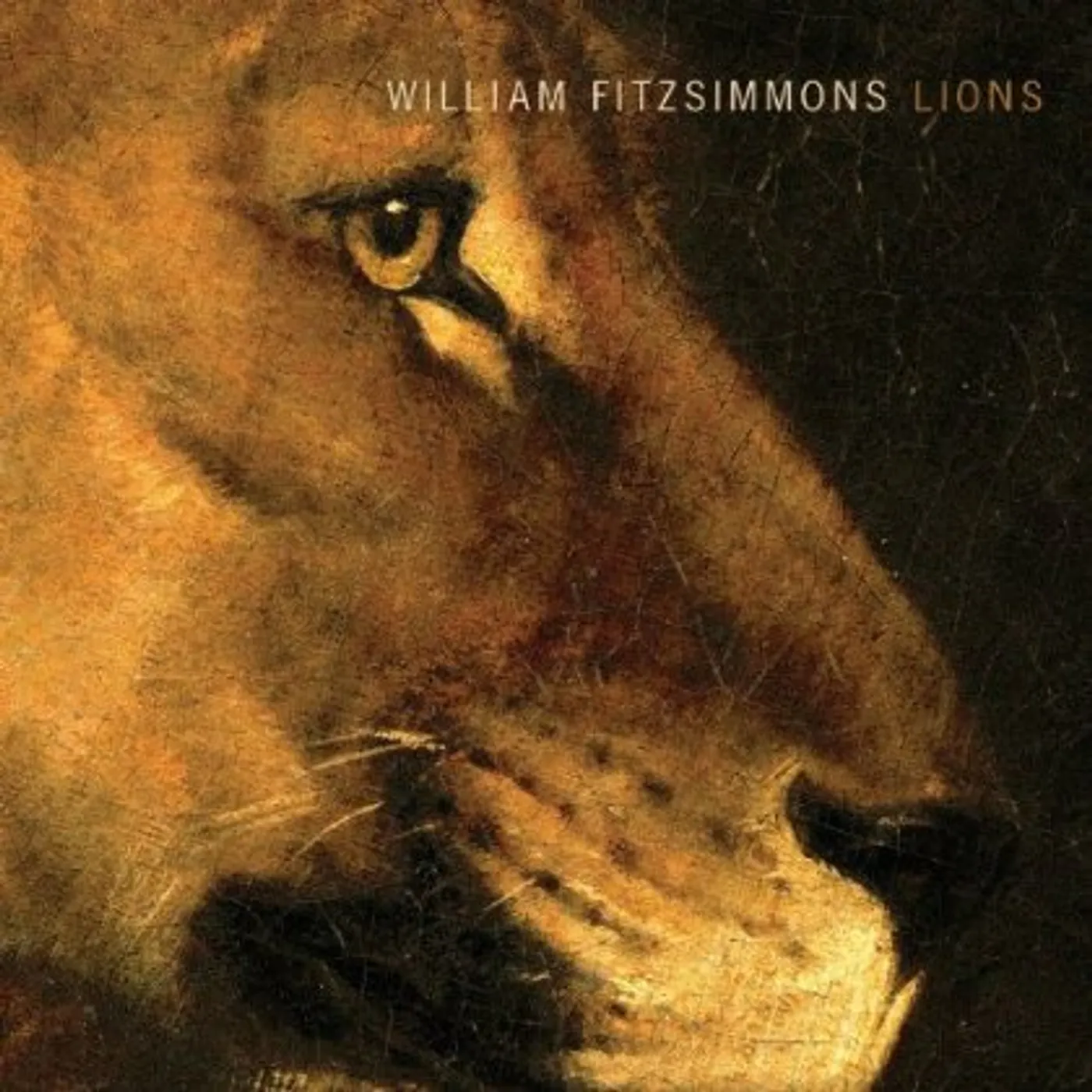 William Fitzsimmons LIONS CD