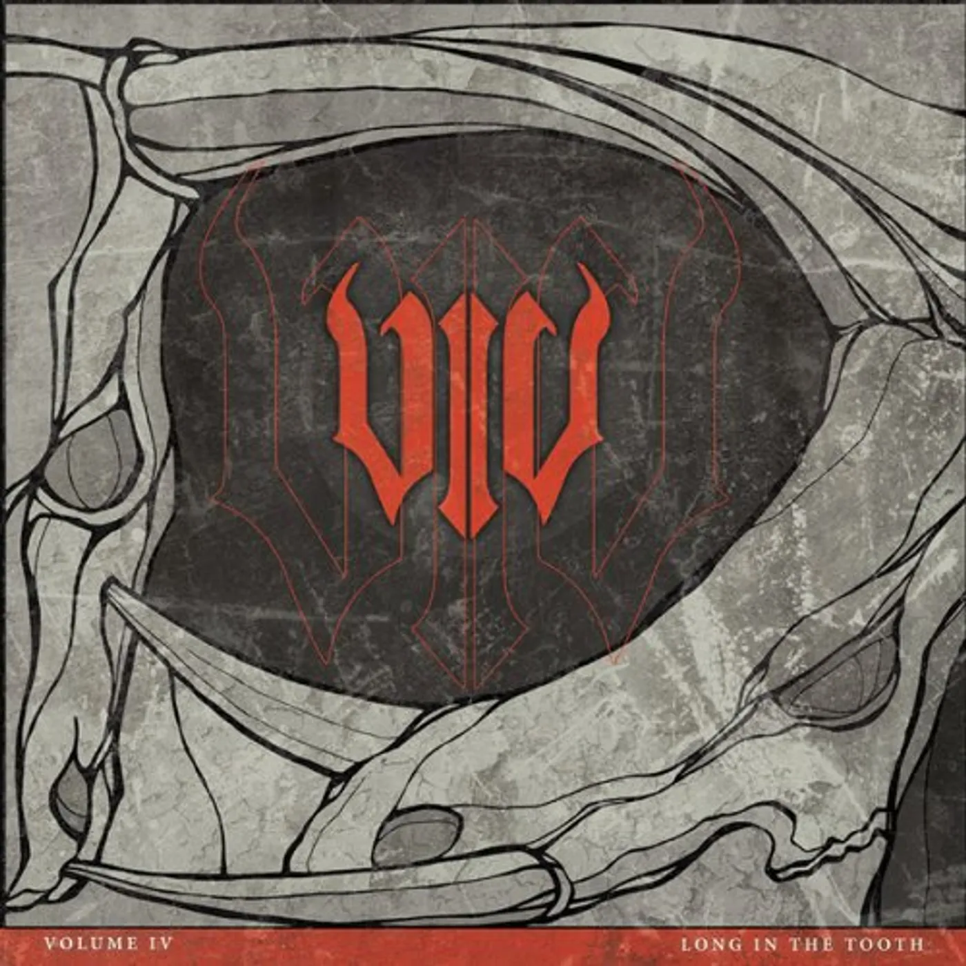 Volume IV Long In The Tooth Vinyl Record