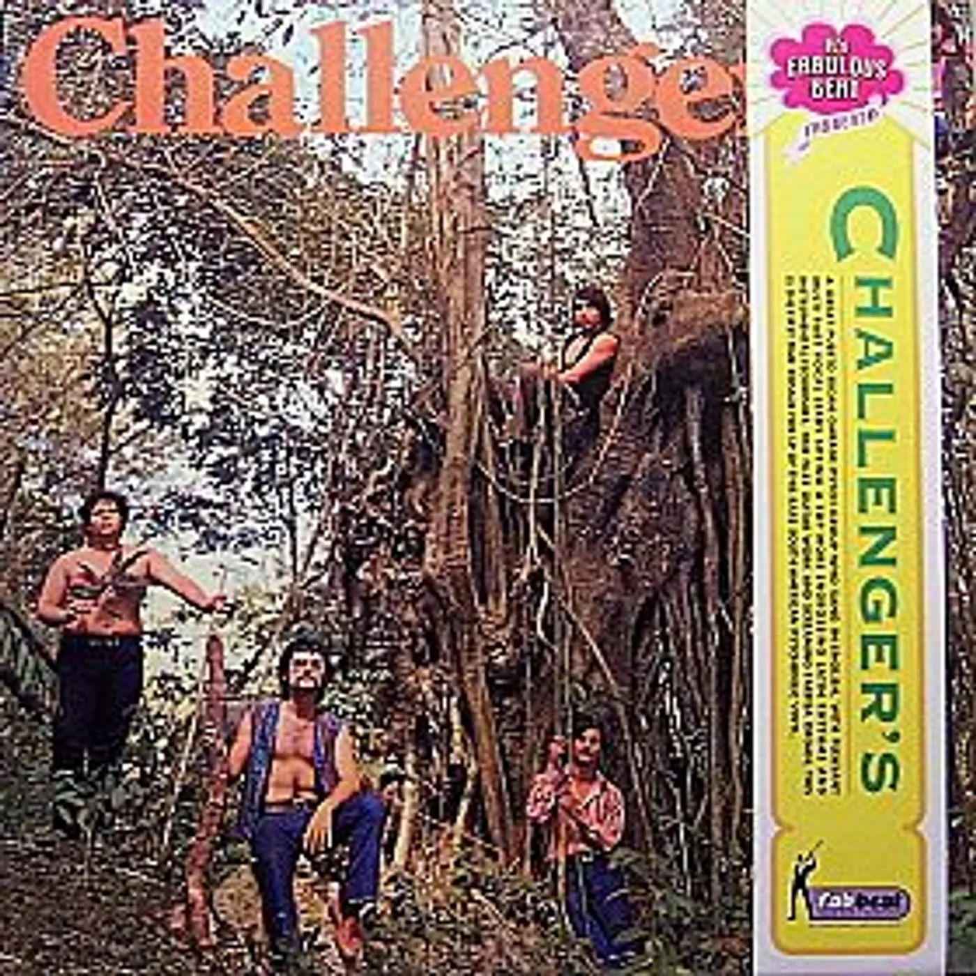 The Challengers Vinyl Record