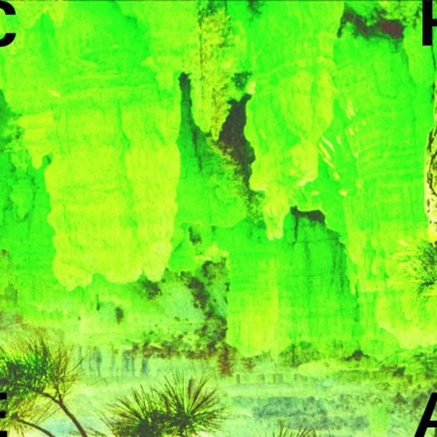 Cheatahs Vinyl Record