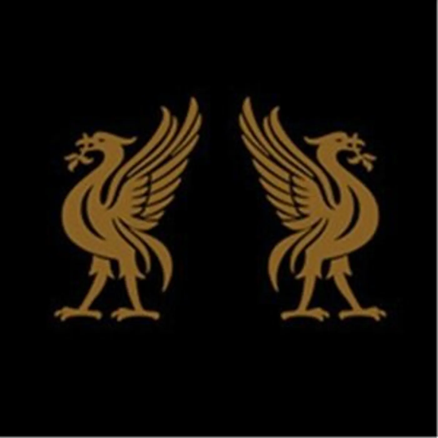 Jon Snodgrass Liverbirds Vinyl Record