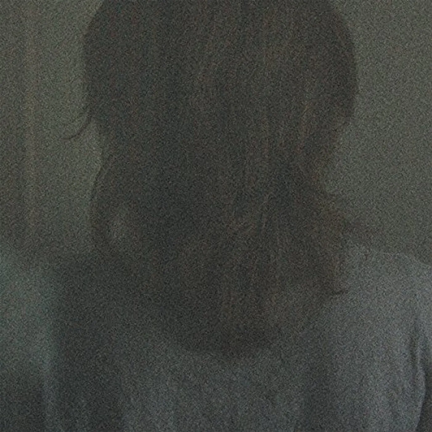 Bastions Bedfellows Part 2: The Forgotten Daughter Vinyl Record