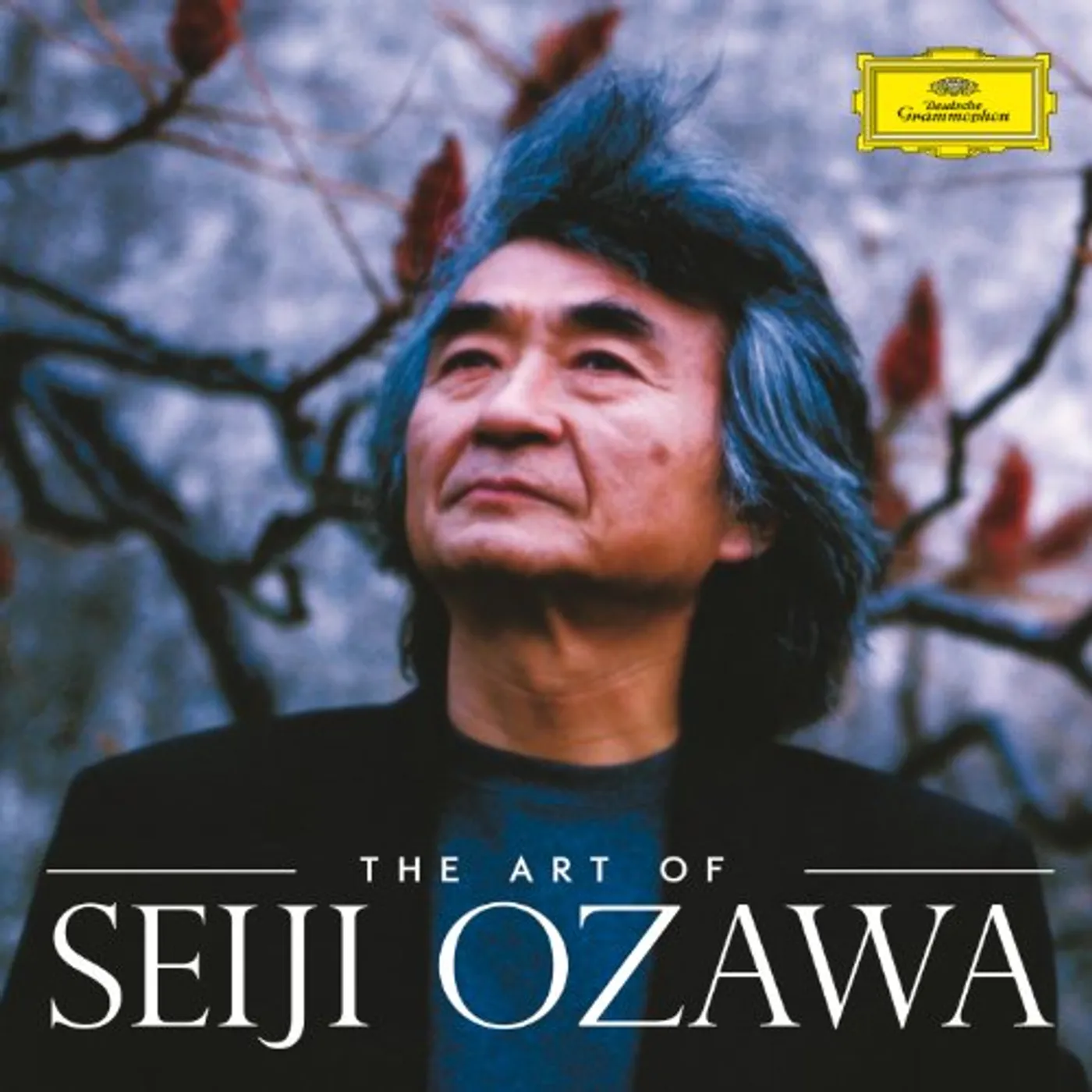 ART OF SEIJI OZAWA CD