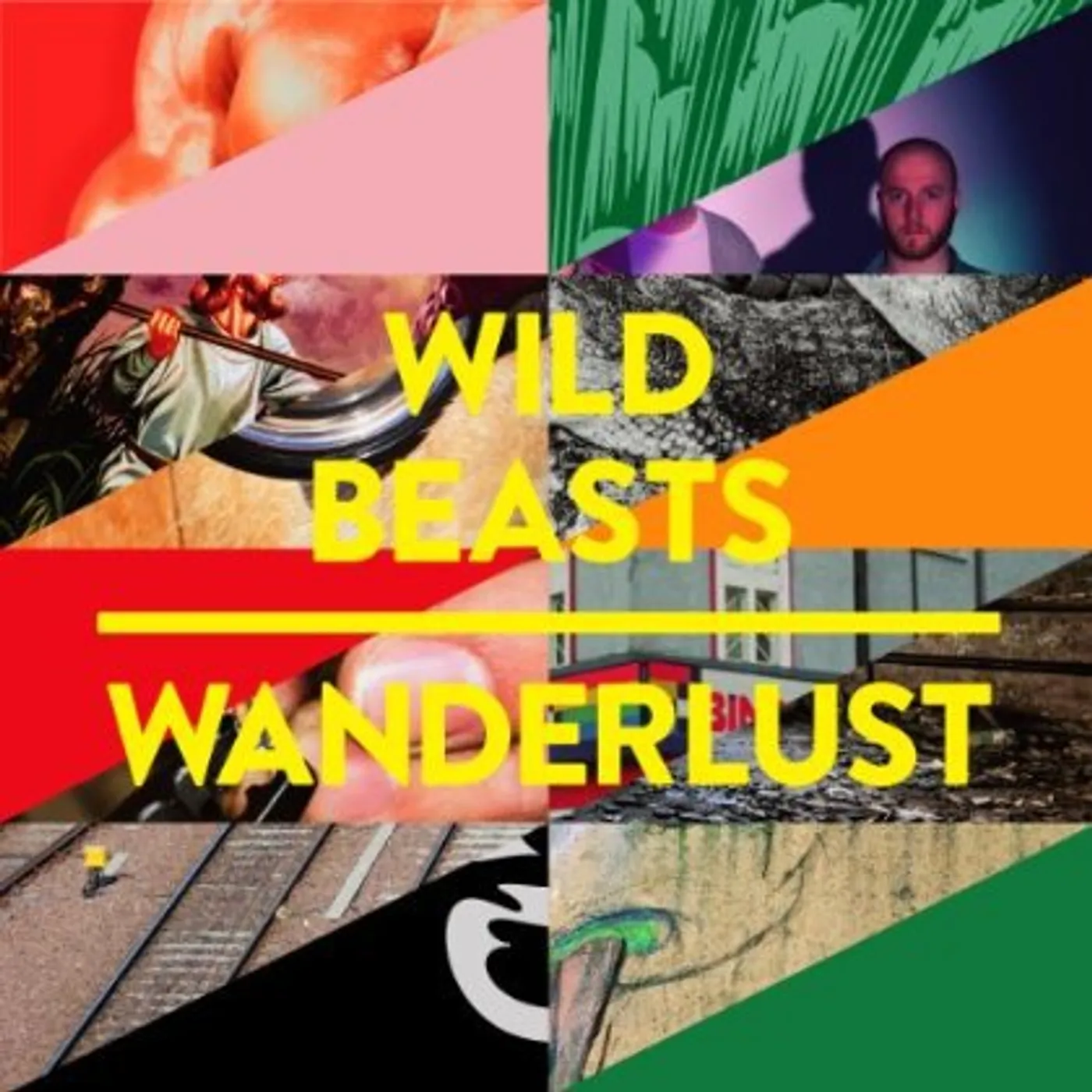 Wild Beasts Wanderlust Vinyl Record