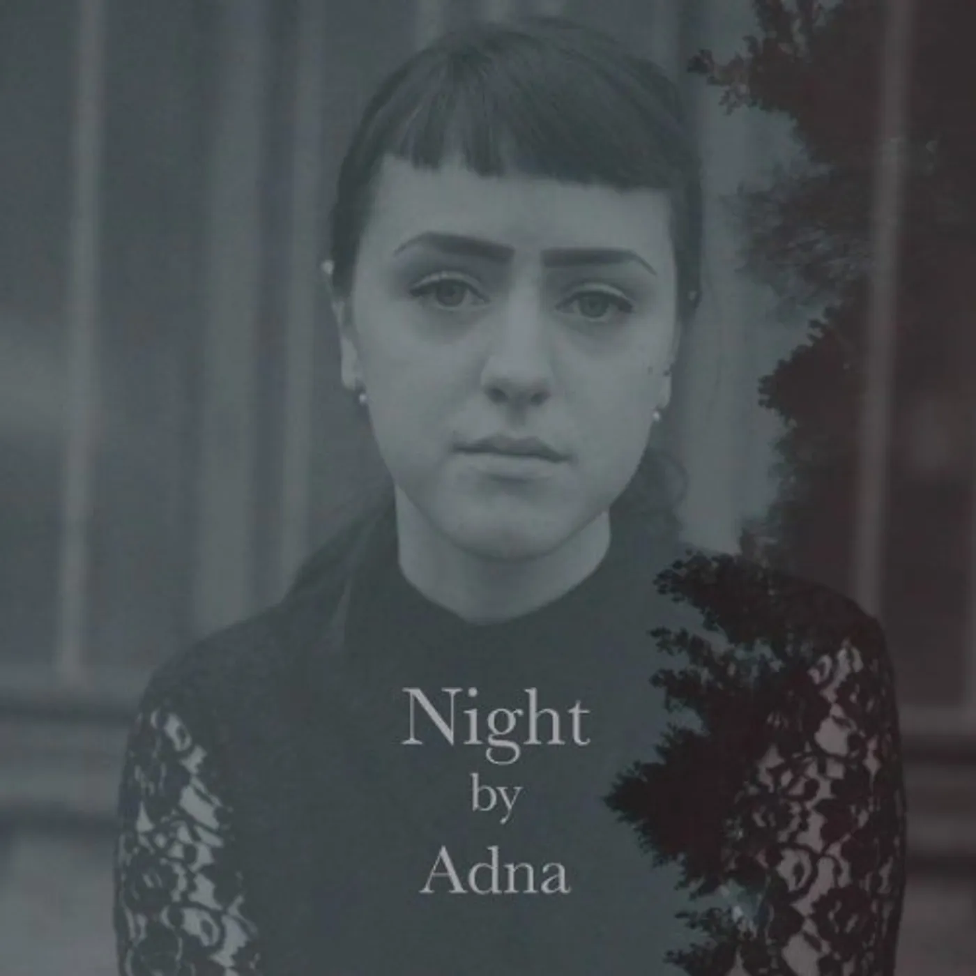 Adna NIGHT CD