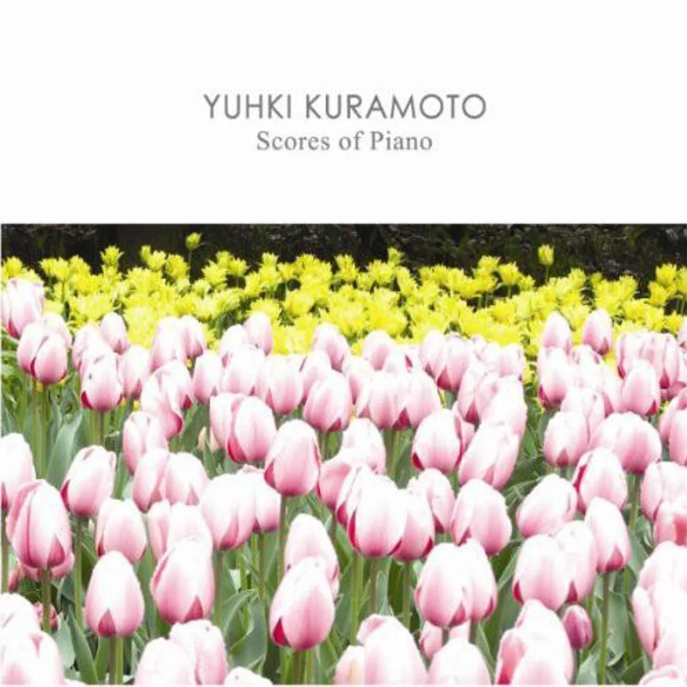 Yuhki Kuramoto SCORES OF PIANO CD