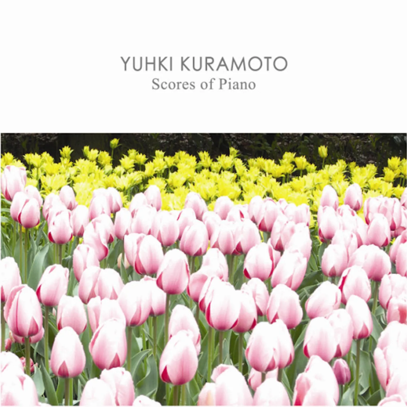 Yuhki Kuramoto SCORES OF PIANO CD
