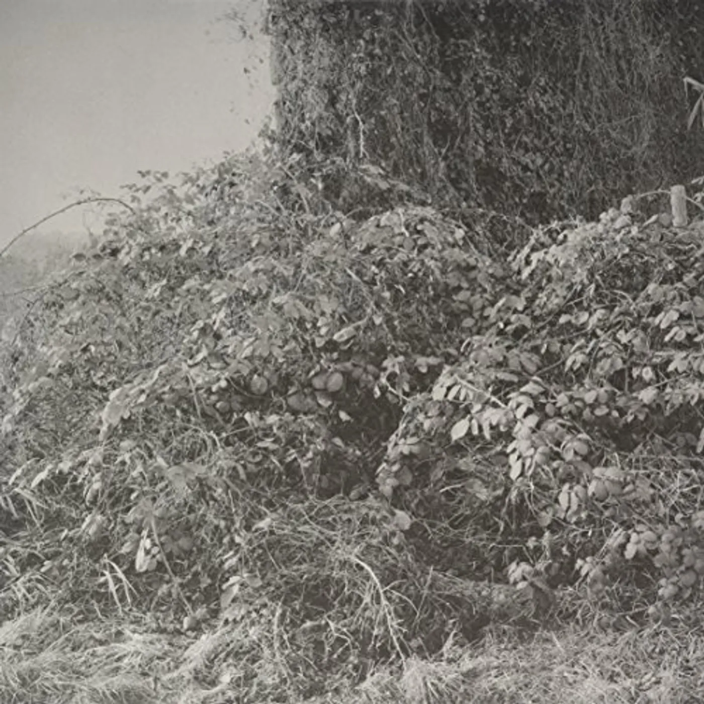 Madmotormiquel KLINKEN EP Vinyl Record