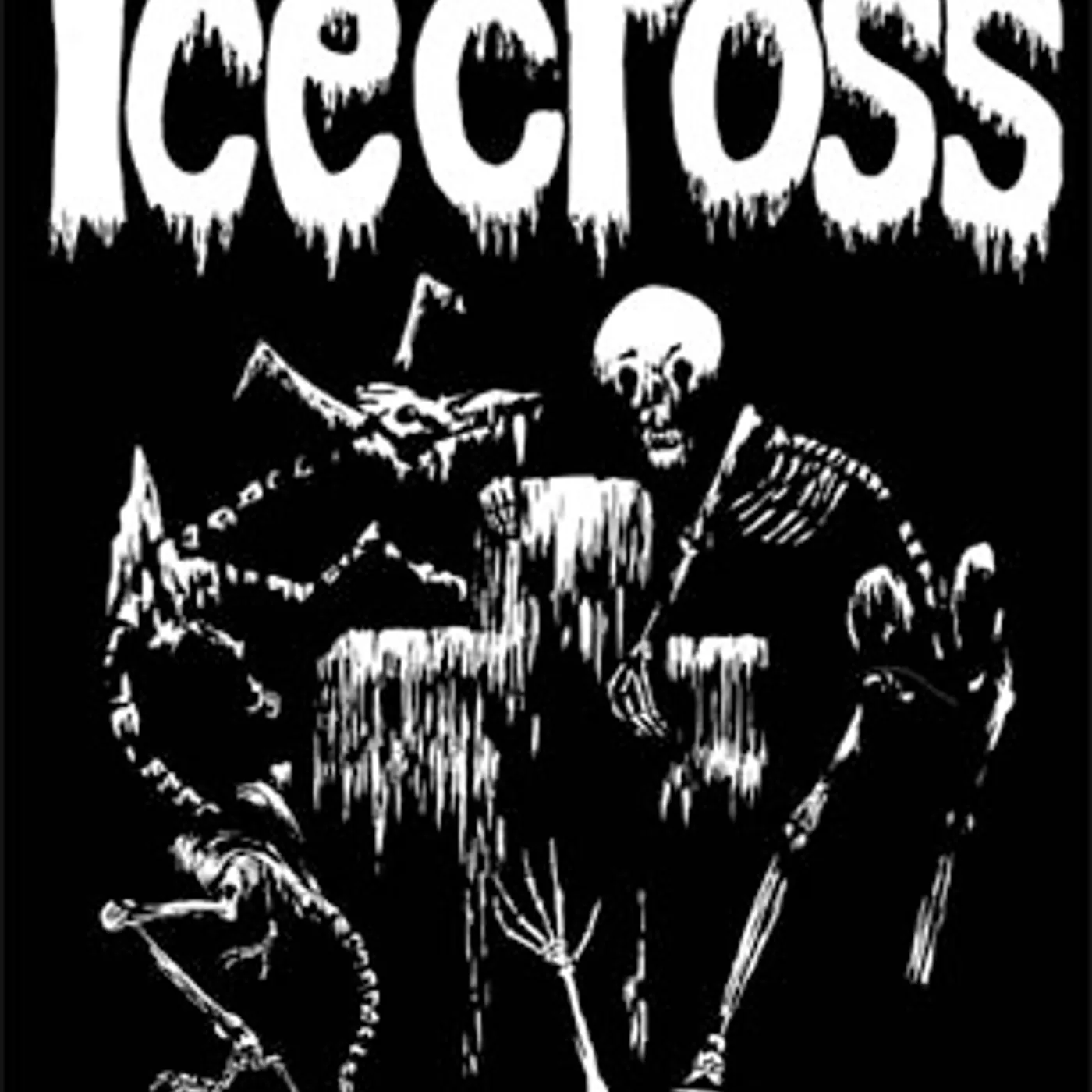 Icecross Vinyl Record