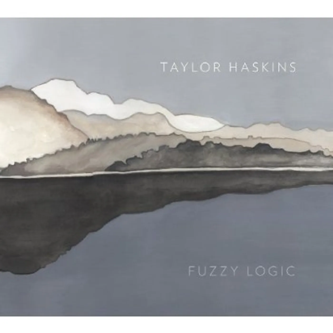 Taylor Haskins FUZZY LOGIC CD