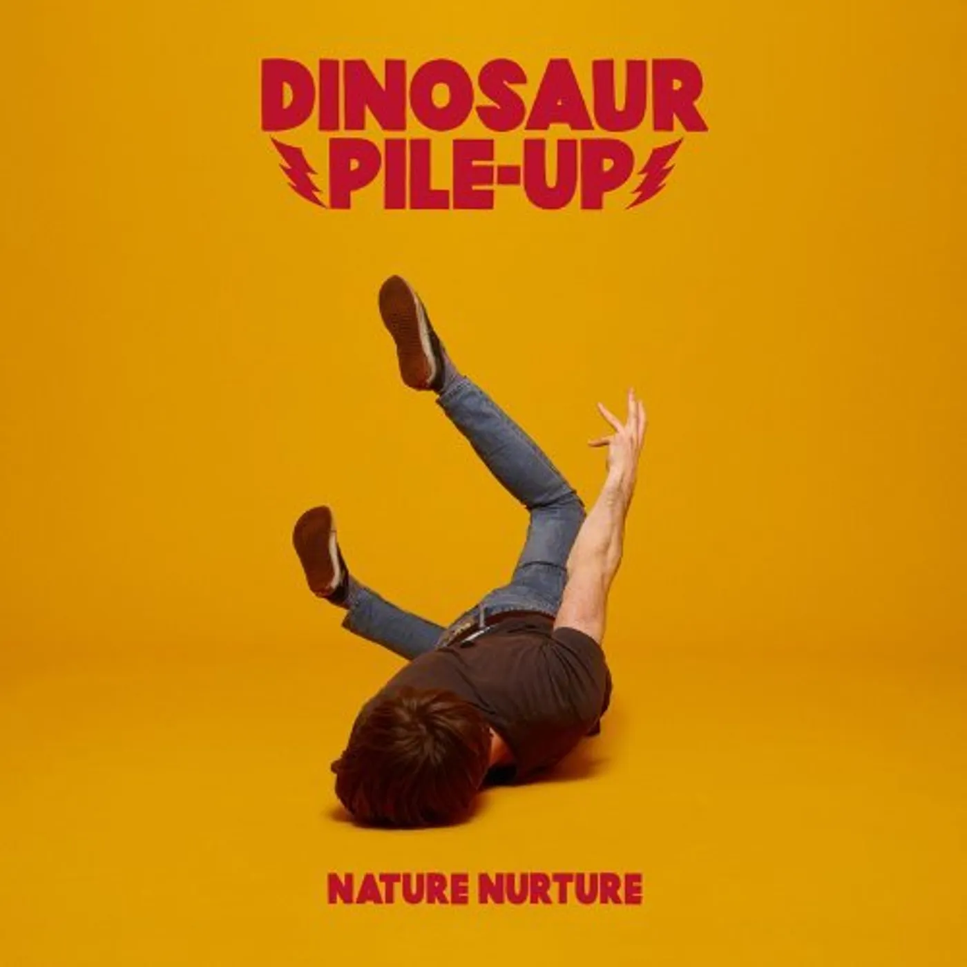 Dinosaur Pile-Up NATURE NURTURE CD