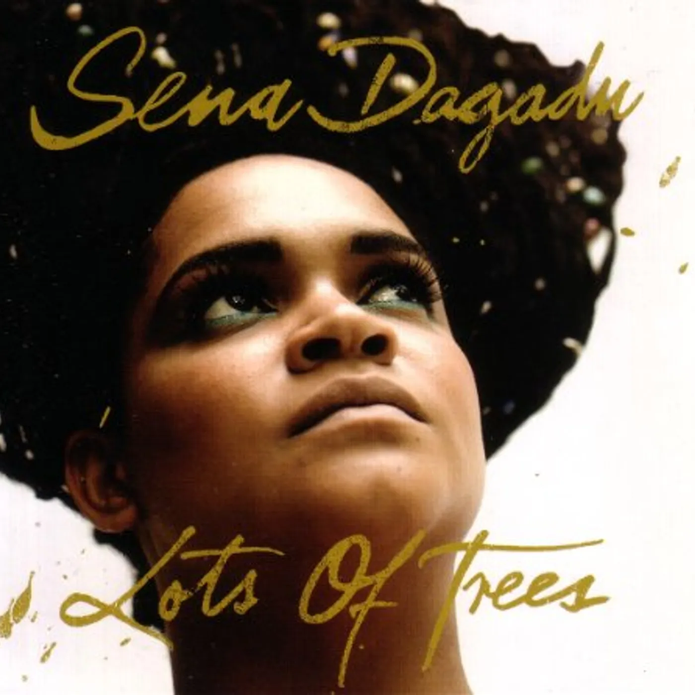 Sena Dagadu LOTS OF TREES CD
