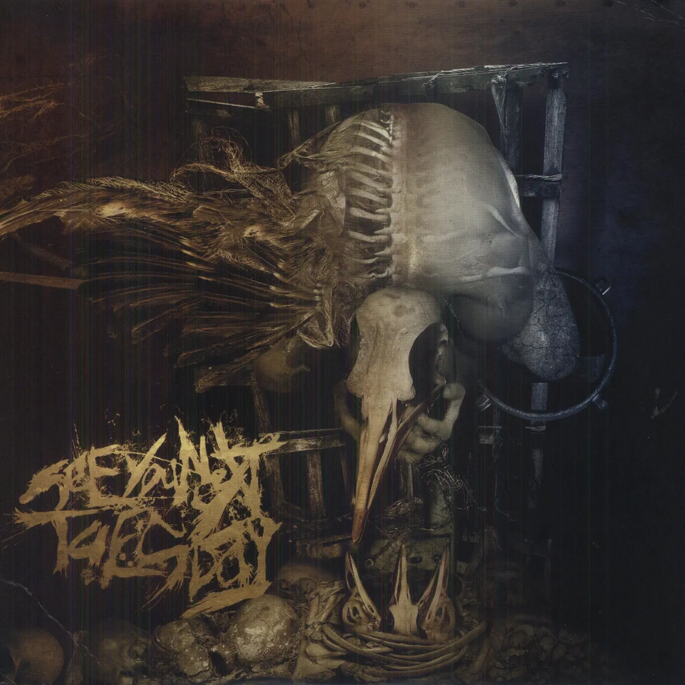 See You Next Tuesday PARASITE (Vinyl)