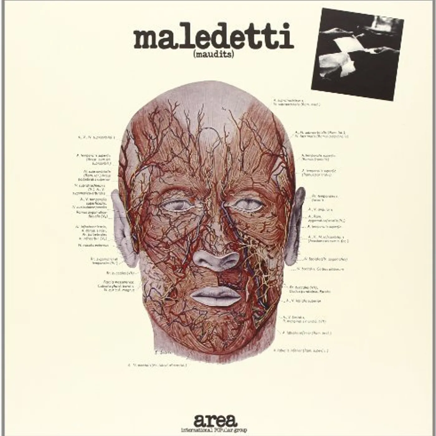 Area MALEDETTI Vinyl Record