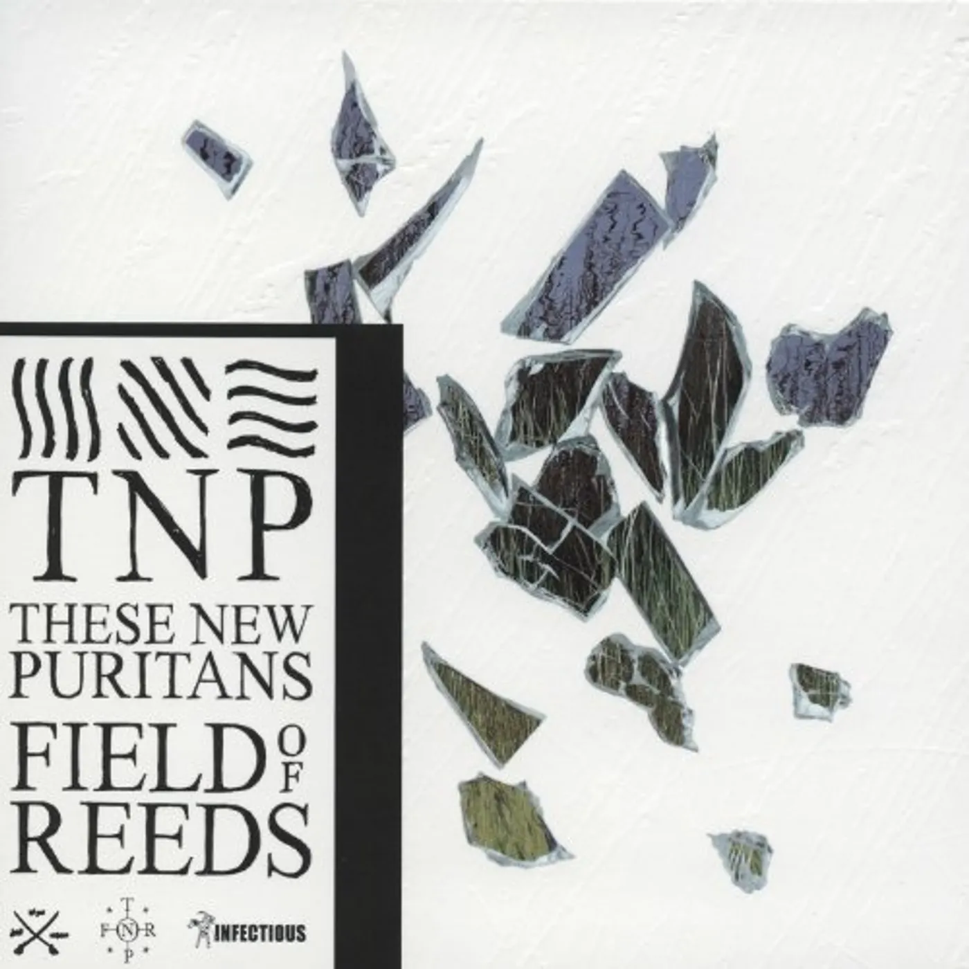 These New Puritans Field of Reeds Vinyl Record