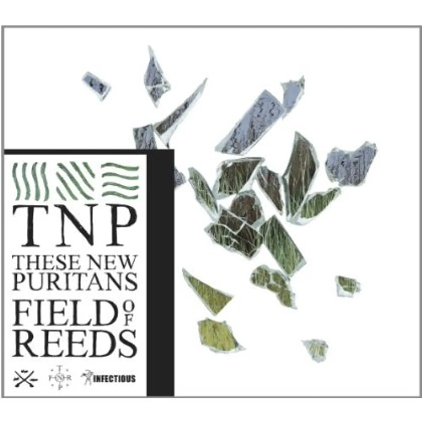 These New Puritans FIELD OF REEDS CD