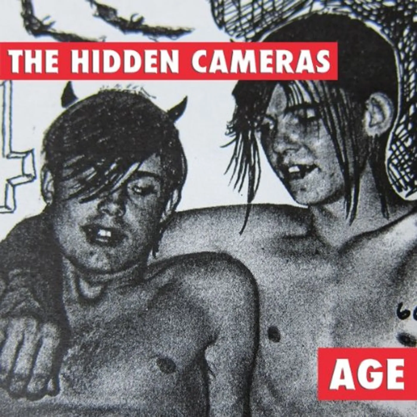 The Hidden Cameras Age Vinyl Record
