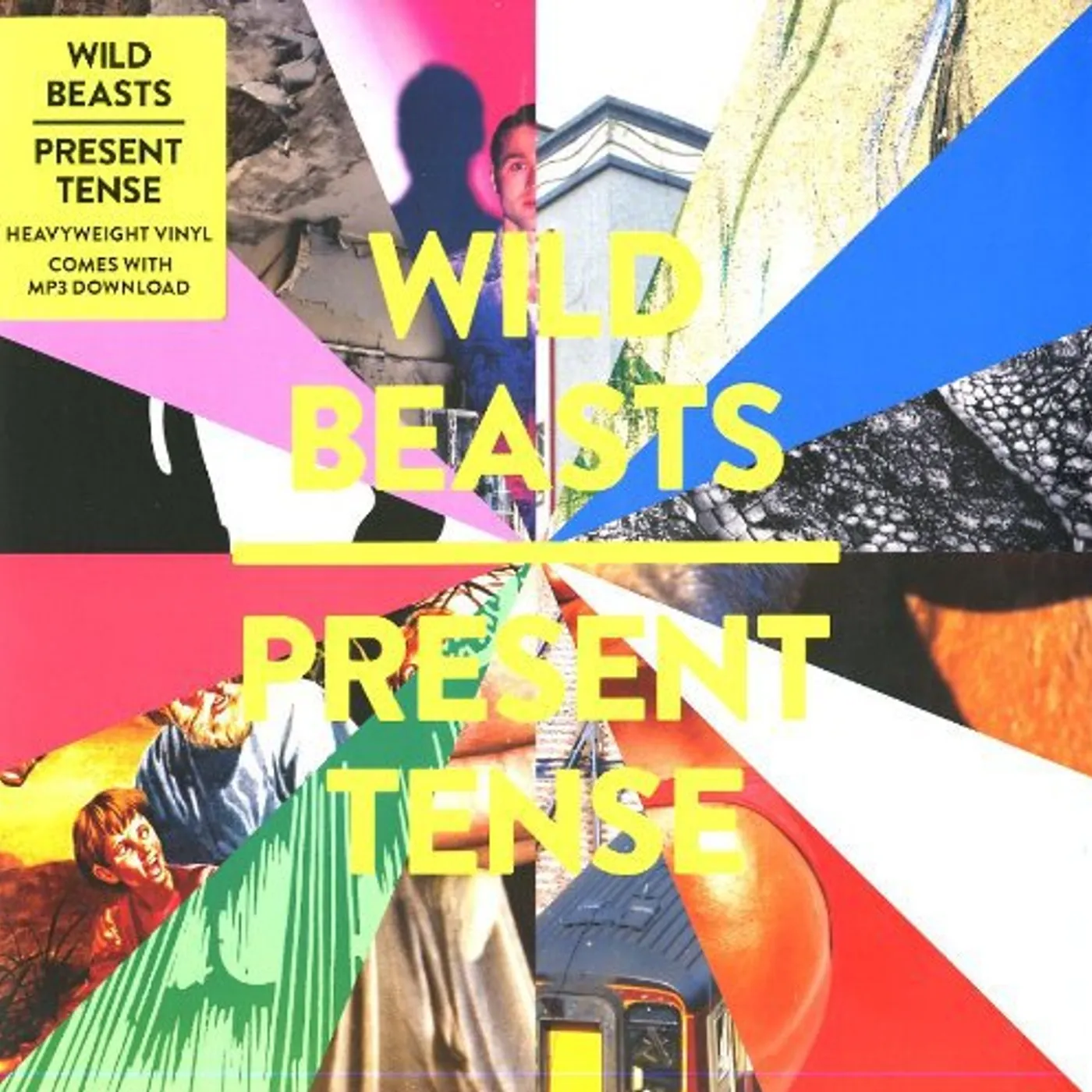 Wild Beasts Present Tense Vinyl Record