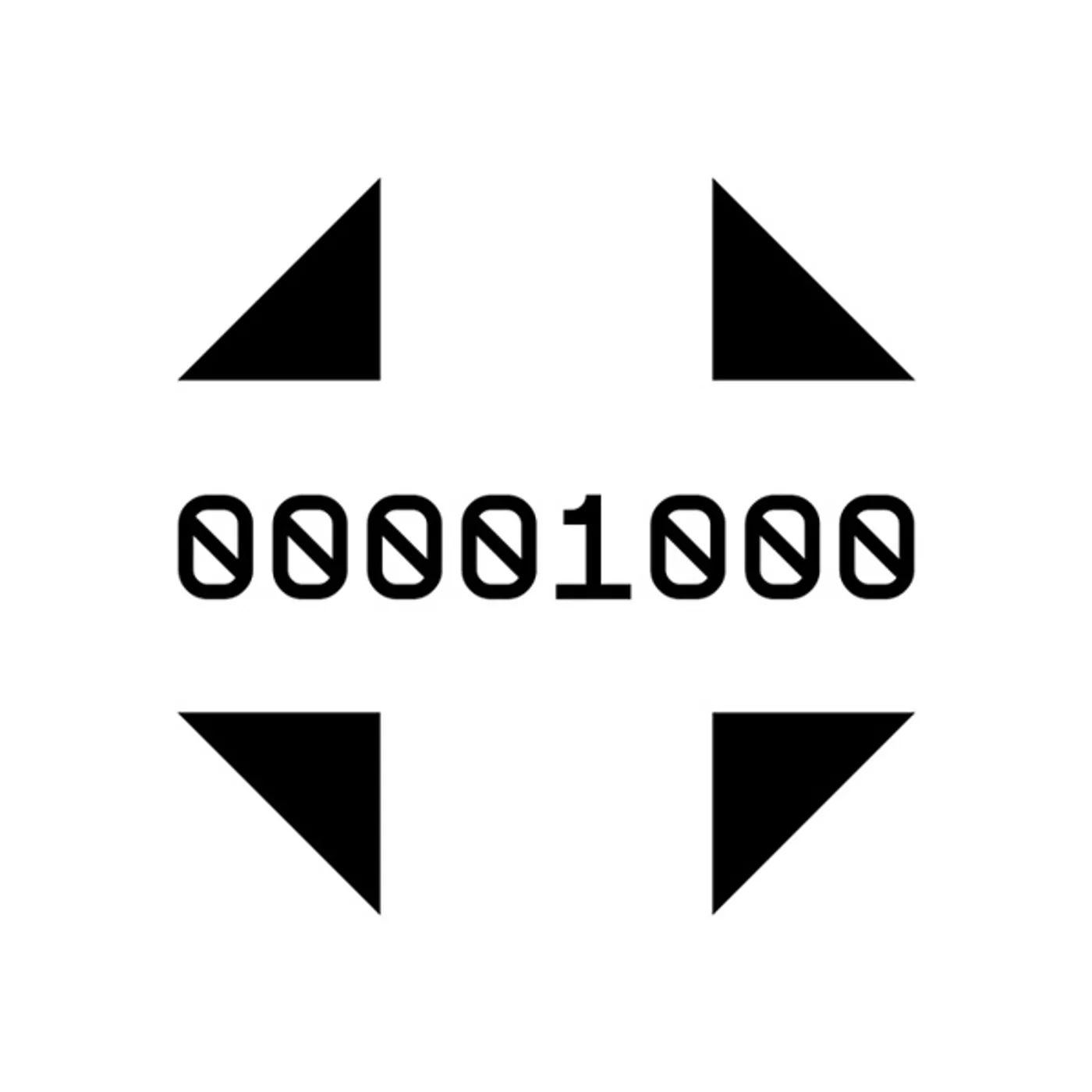 Morphology Intercal Vinyl Record