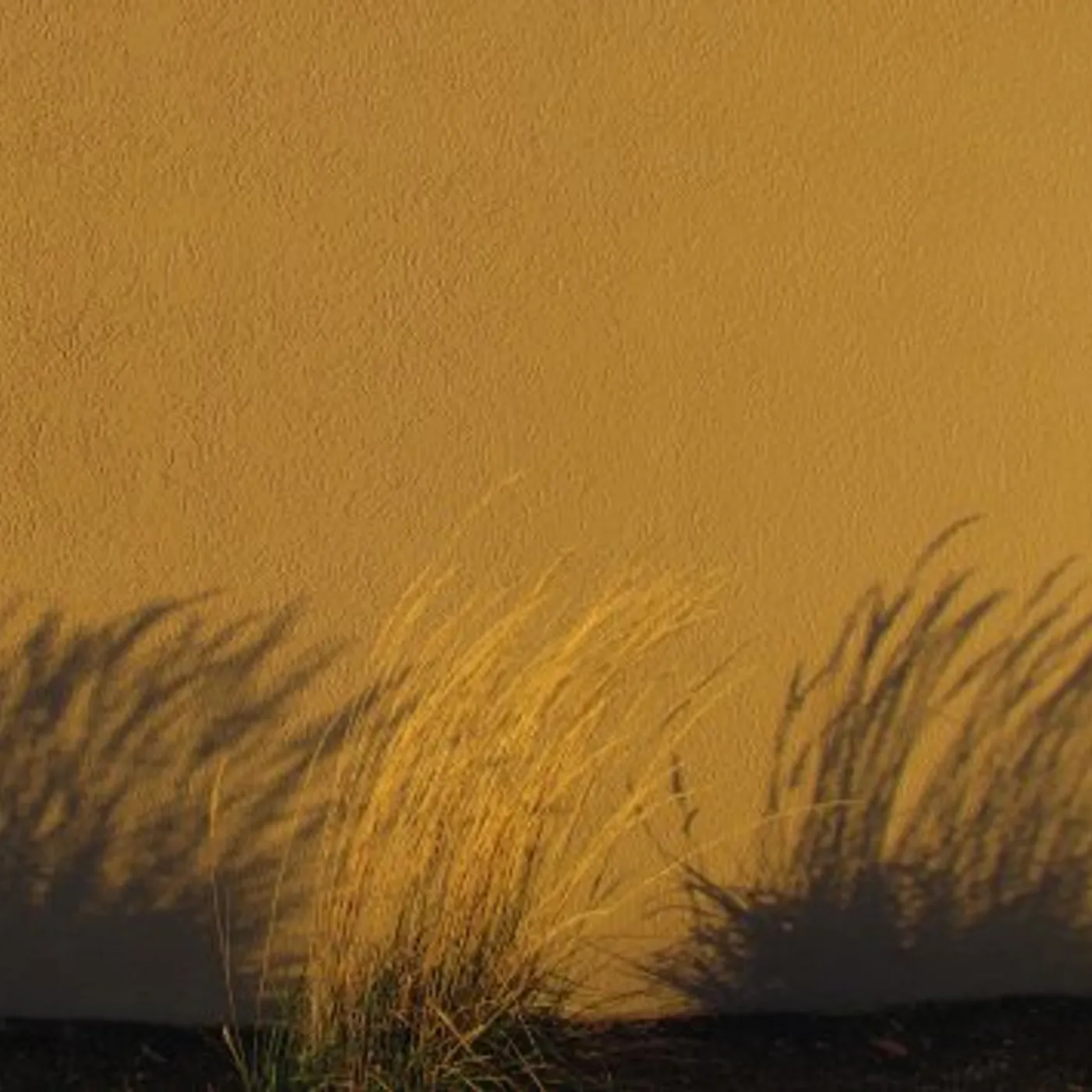 Porya Hatami SHALLOW CD