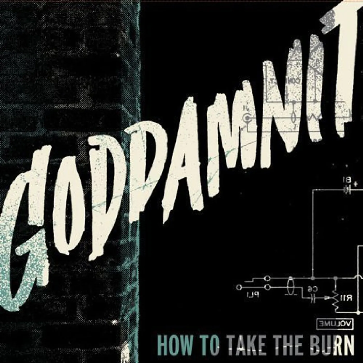 GODDAMNIT HOW TO TAKE THE BURN CD