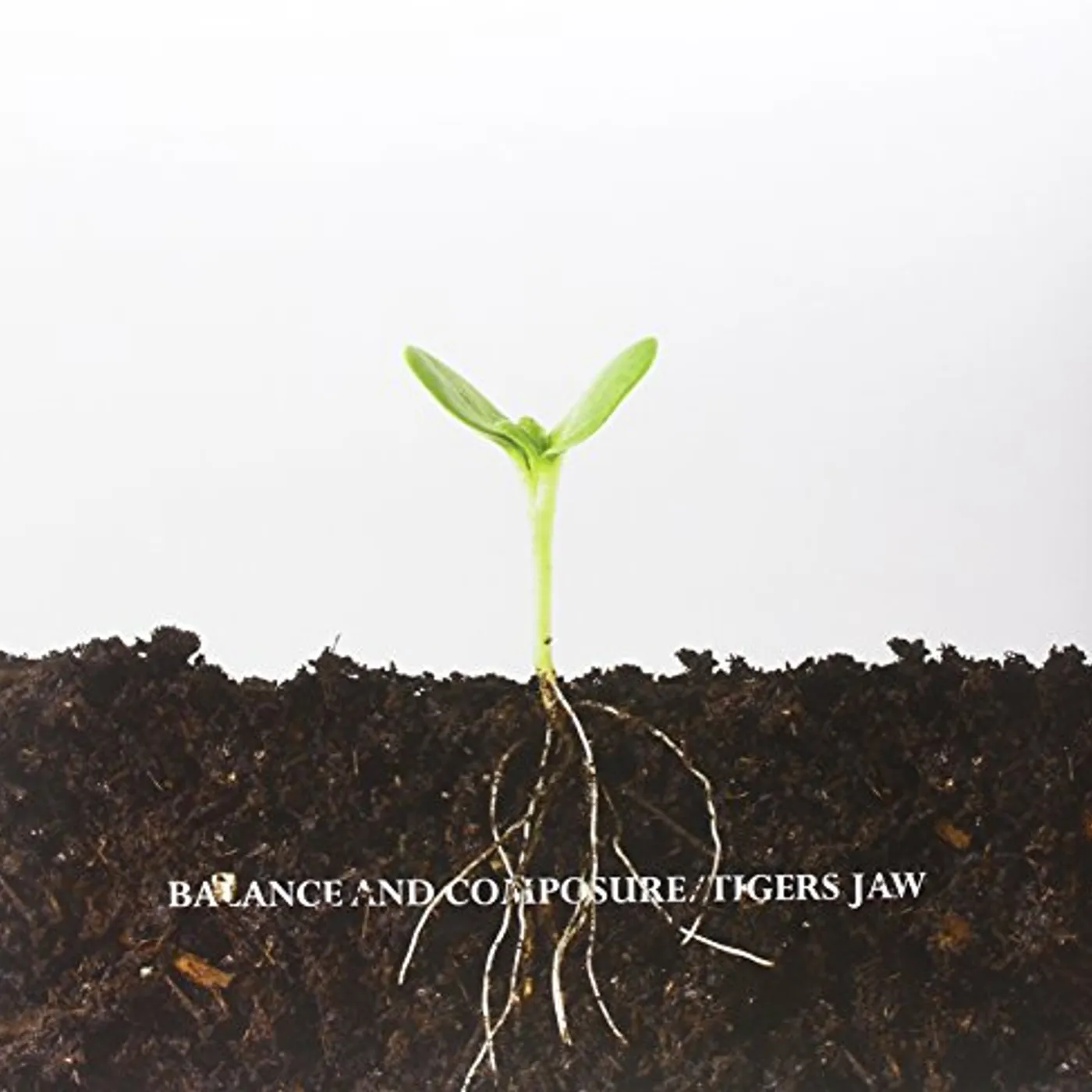 Tigers Jaw BALANCE & COMPOSURE Vinyl Record