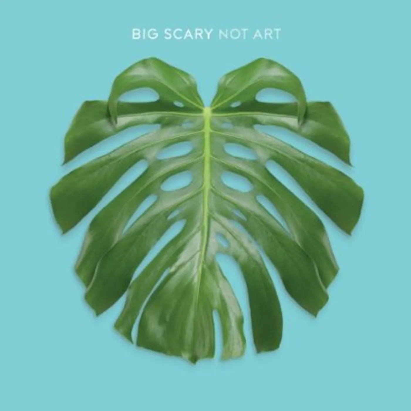 Big Scary Not Art Vinyl Record