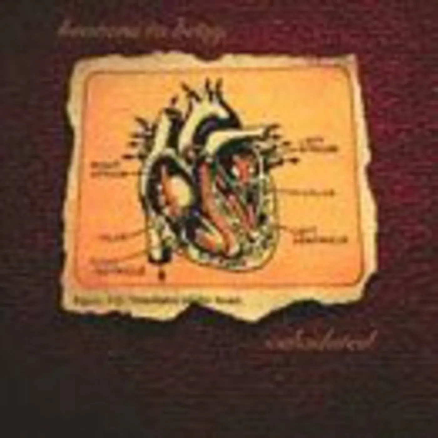 Heavens To Betsy Calculated Vinyl Record