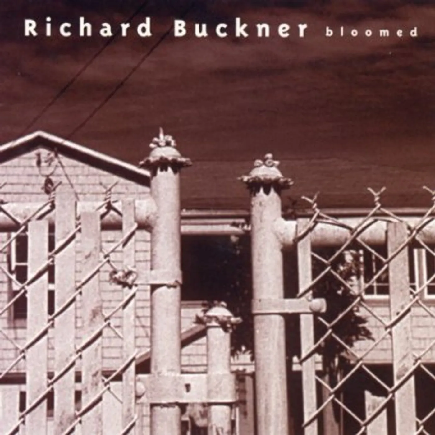 Richard Buckner BLOOMED (REISSUE) CD