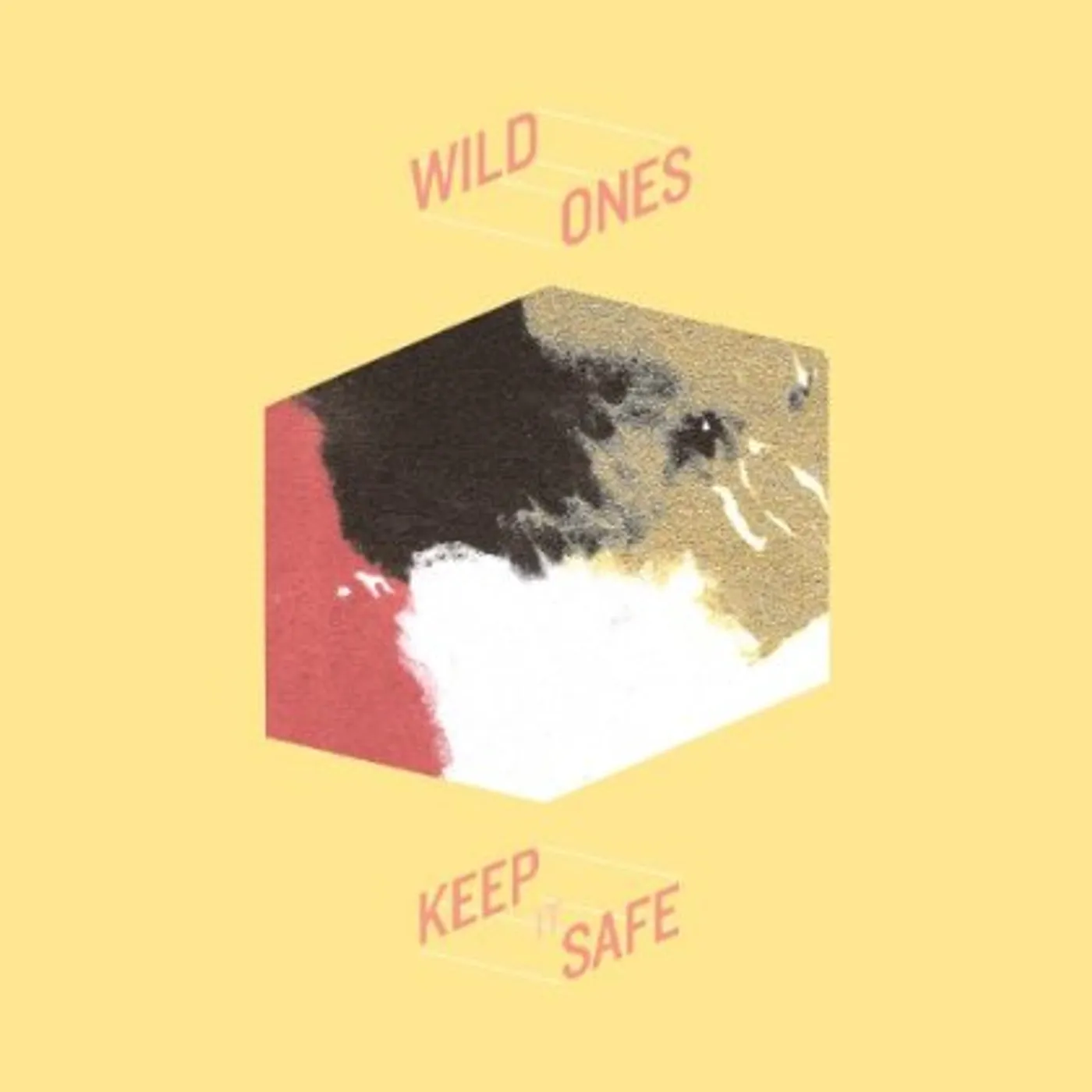 Wild Ones Keep It Safe Vinyl Record