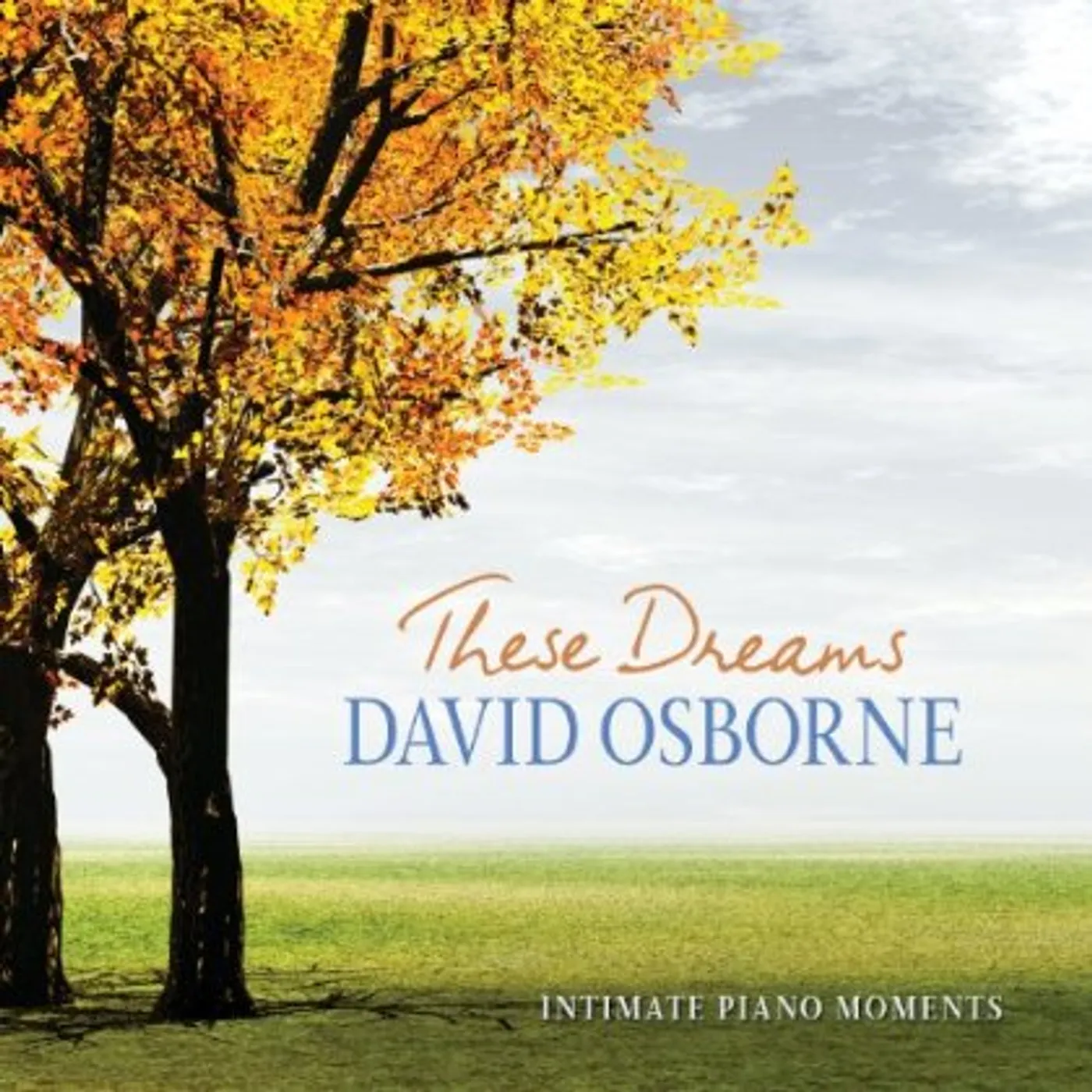 David Osborne THESE DREAMS: INTIMATE PIANO MOMENTS CD