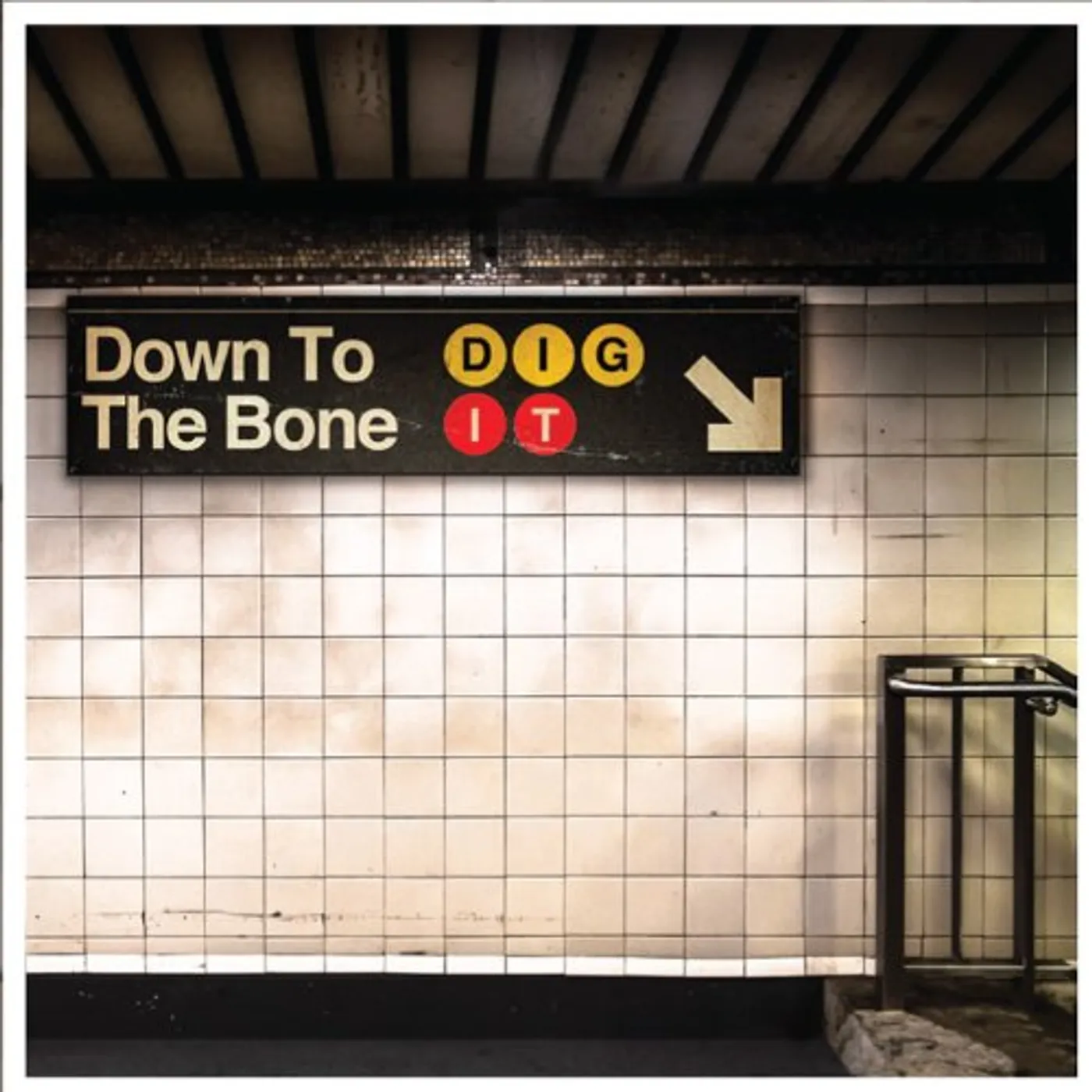 Down To The Bone DIG IT CD