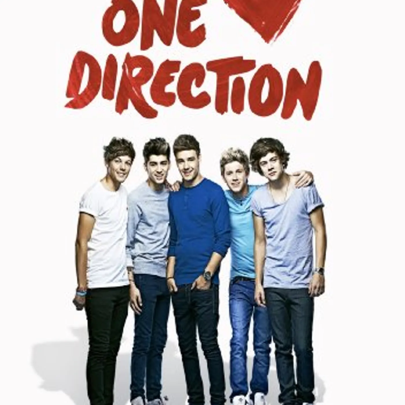 WE LOVE ONE DIRECTION DVD