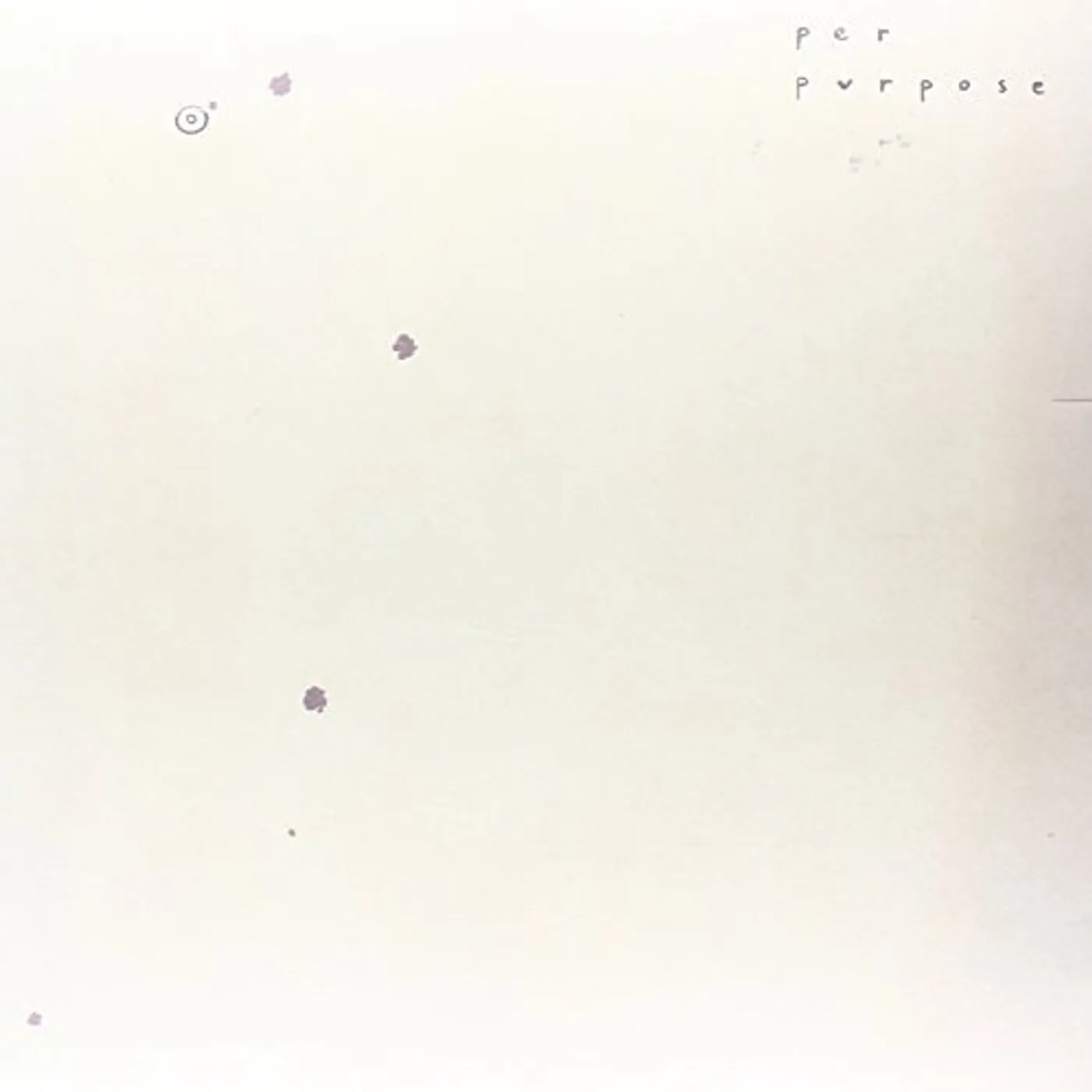 Per Purpose Circle the Stains Vinyl Record